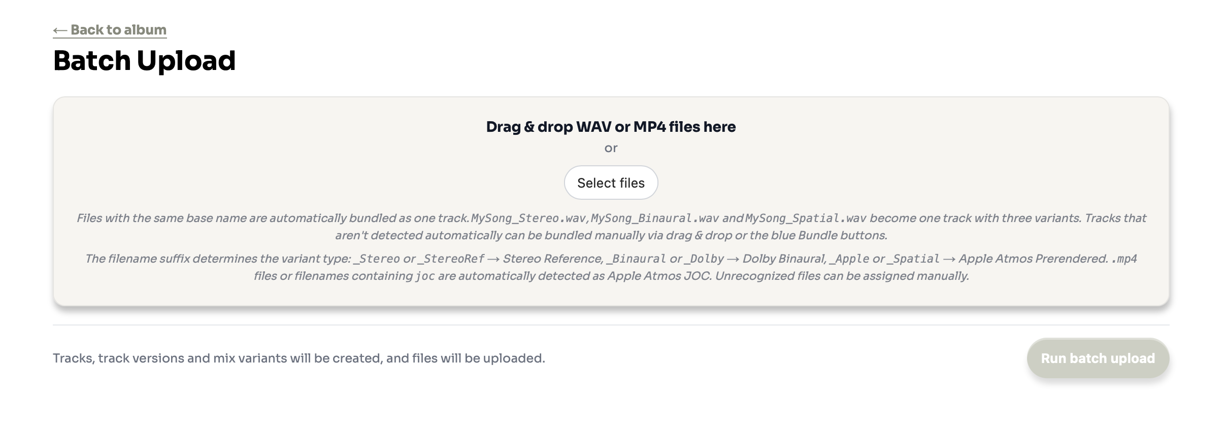 Batch Upload dropzone with file list and bundle preview
